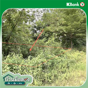 picture LAND 800 Sq.w. Sri Maha Pho Prachinburi for 1.6M - 18/20