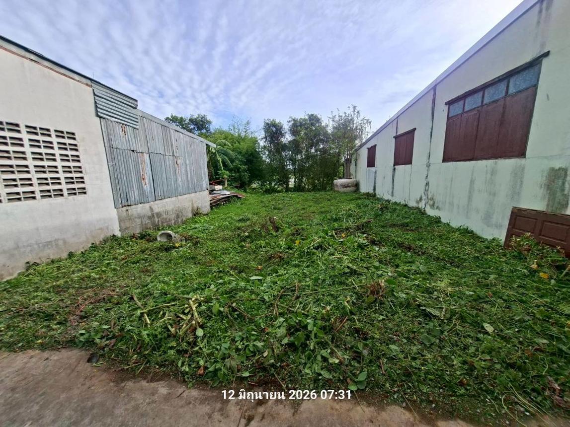 picture SHOP HOUSE 95 Sq.w. Tha Wung Lopburi for 4.5M - 38/42