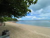 listing thumbnail image 15