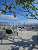 listing thumbnail image 15