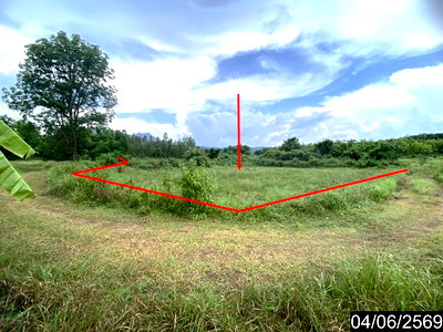 ที่ดิน ท่าลี่ เลย : ที่ดินว่างเปล่า 7071 ตร.วา ท่าลี่ เลย 2.7M