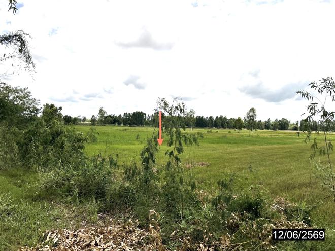 picture LAND 2738 Sq.w. Kamalasai Kalasin for 1.4M - 6/24