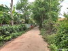 listing thumbnail image 11