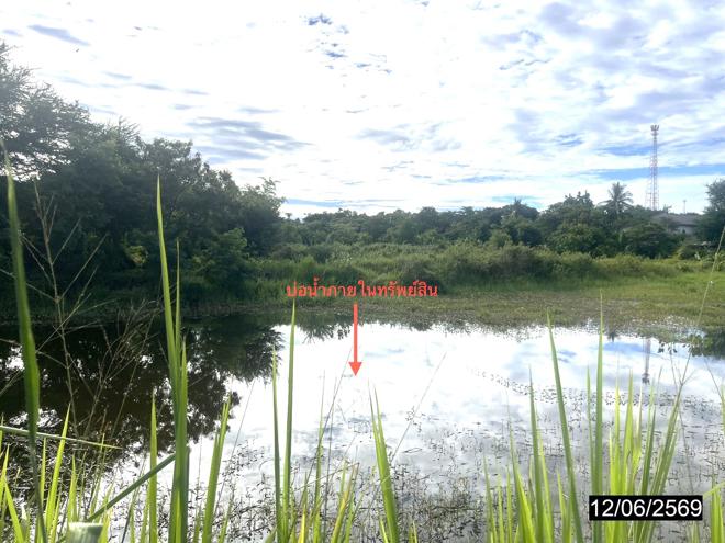 รูป ที่ดินว่างเปล่า 2480.4 ตร.วา เมืองกาฬสินธุ์ กาฬสินธุ์ 5.7M - รูปที่ 8/20