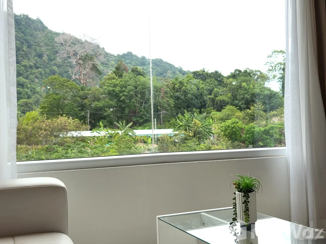 picture Cozy Room with Beautiful Mountain Views 6646676 - 3/12
