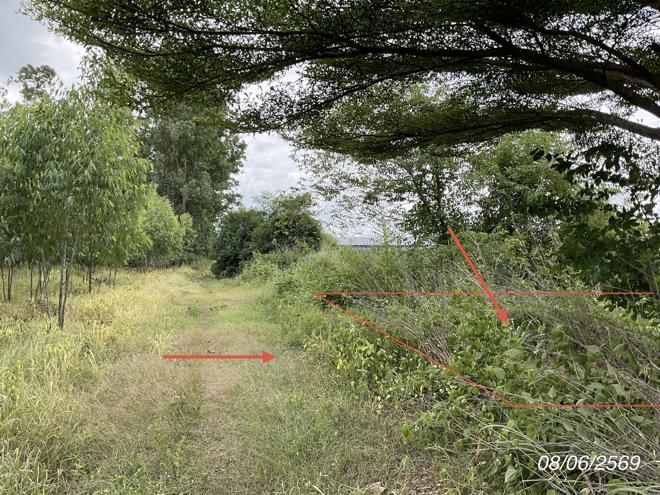 picture LAND 800 Sq.w. Sri Maha Pho Prachinburi for 1.6M - 8/20