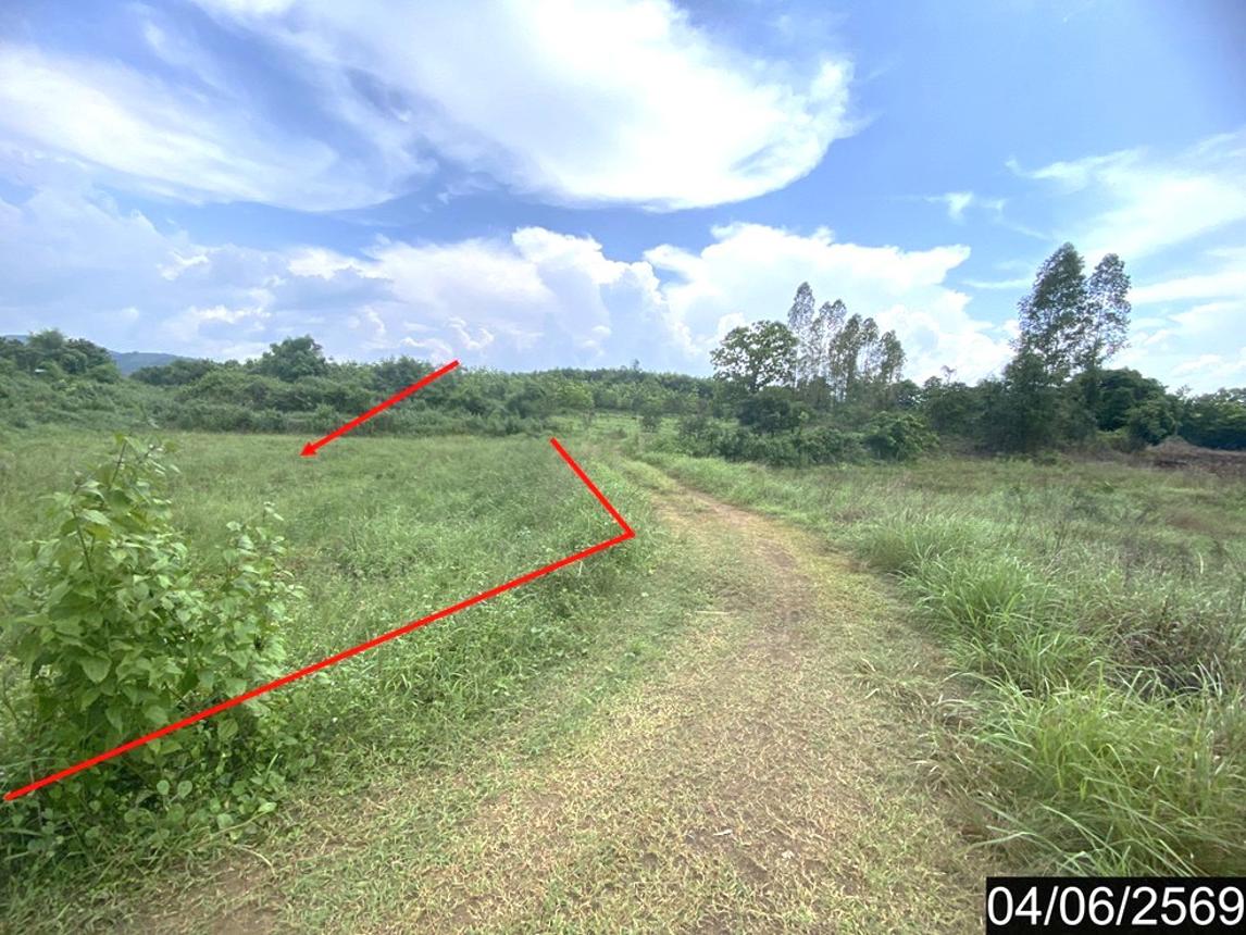 รูป ที่ดินว่างเปล่า 7071 ตร.วา ท่าลี่ เลย 2.7M - รูปที่ 9/18