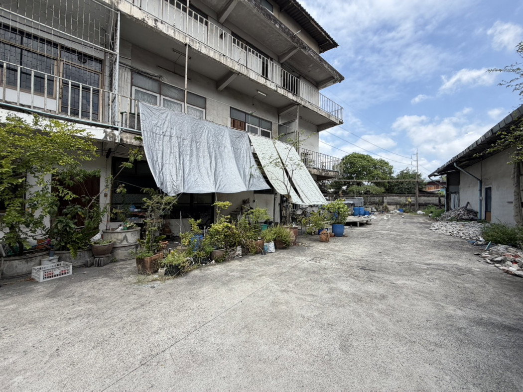 รูป ขายที่ดินผังสีม่วง 839 ตรว ติดถ.ปู่เจ้าสมิงพราย พระประแดง เหมาะโรงงาน โกดัง คลังสินค้า ทำการค้า - รูปที่ 10/11