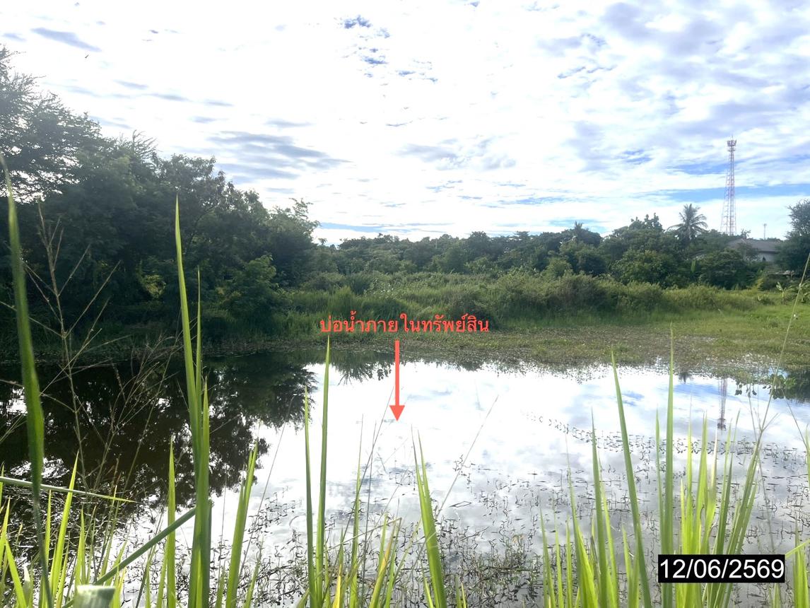 รูป ที่ดินว่างเปล่า 2480.4 ตร.วา เมืองกาฬสินธุ์ กาฬสินธุ์ 5.7M - รูปที่ 16/20