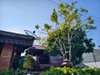 listing thumbnail image 26