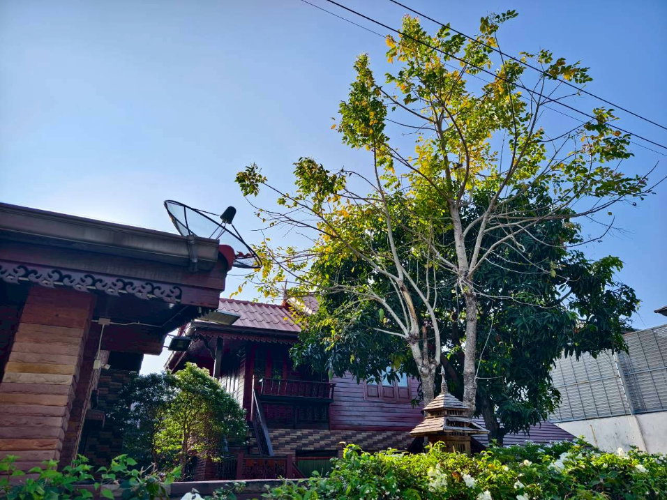 รูป ขายบ้านทรงไทย รามคำแหง68 ขายบ้านทรงไทยประยุกต์ งดงามดั่งงานศิลป์ ทำเลทองรามคำแหง 68 แปลงมุม  - รูปที่ 27/38