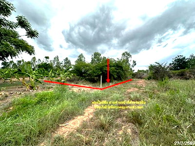 ที่ดิน ที่ว่าการอำเภอเมืองพิษณุโลก : ที่ดินว่างเปล่า 55.3 ตร.วา เมืองพิษณุโลก พิษณุโลก 332,000