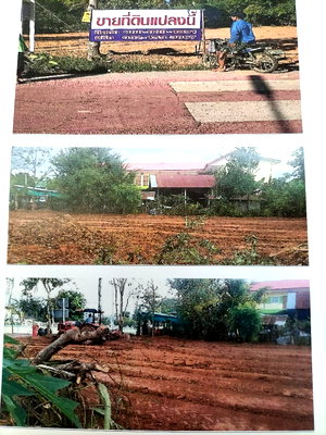ที่ดิน ม.ราชภัฏชัยภูมิ : ขายที่ดินถมแล้วติดถนนสายหลัก 200 ตรว.
