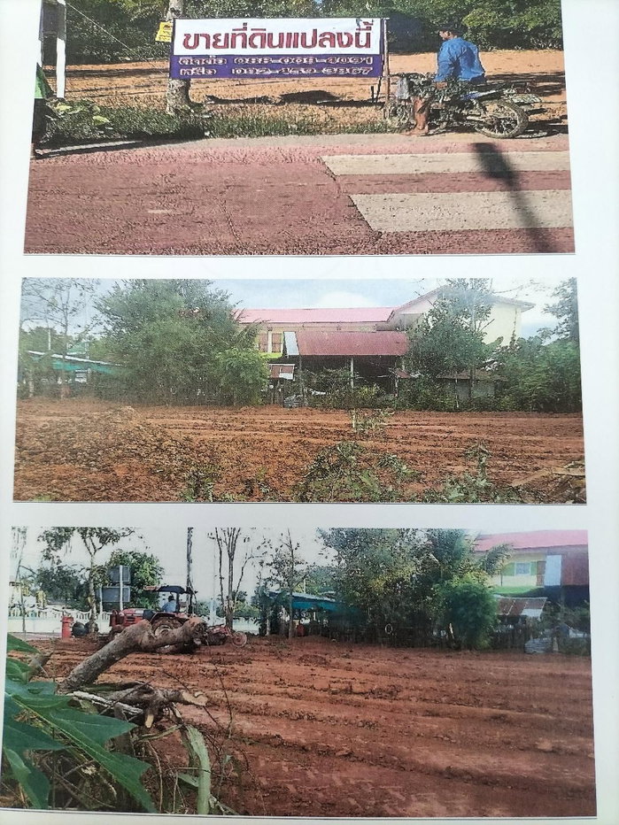 รูป ขายที่ดินถมแล้วติดถนนสายหลัก 200 ตรว. - รูปที่ 1/3