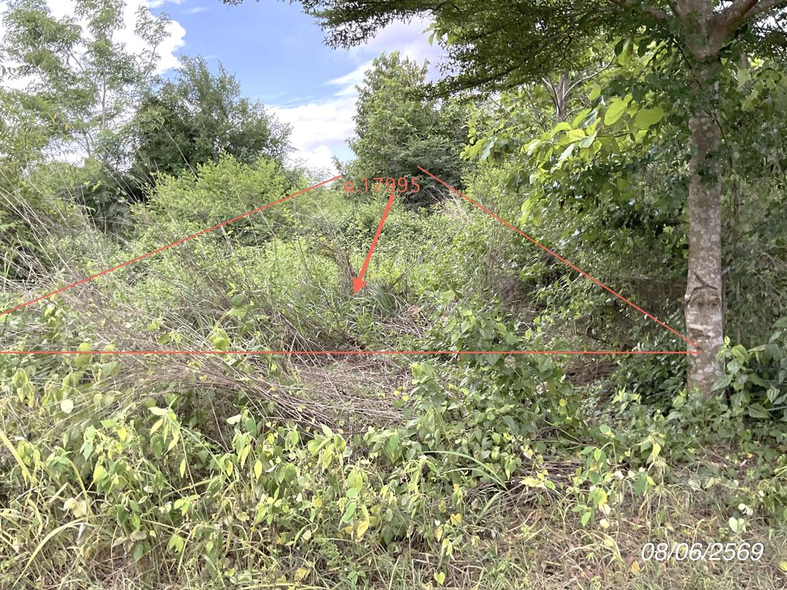 picture LAND 800 Sq.w. Sri Maha Pho Prachinburi for 1.6M - 13/20