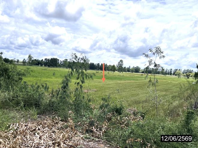 picture LAND 2738 Sq.w. Kamalasai Kalasin for 1.4M - 5/24