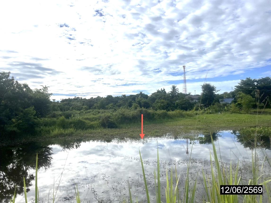 รูป ที่ดินว่างเปล่า 2480.4 ตร.วา เมืองกาฬสินธุ์ กาฬสินธุ์ 5.7M - รูปที่ 15/20