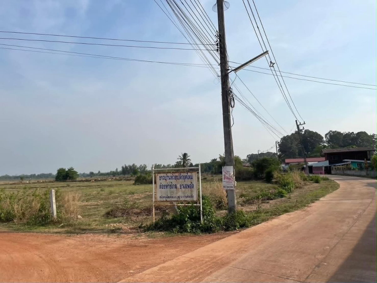 รูป ขายที่ดิน 13ไร่ 1งาน 20ตรว แถวบ้านซ่อง - รูปที่ 5/10