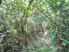 listing thumbnail image 14