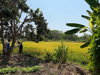 listing thumbnail image 4