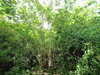 listing thumbnail image 5