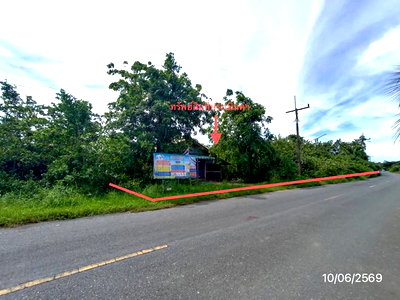 บ้านเดี่ยว ระโนด สงขลา : บ้านเดี่ยว 461 ตร.วา ระโนด สงขลา 692,000
