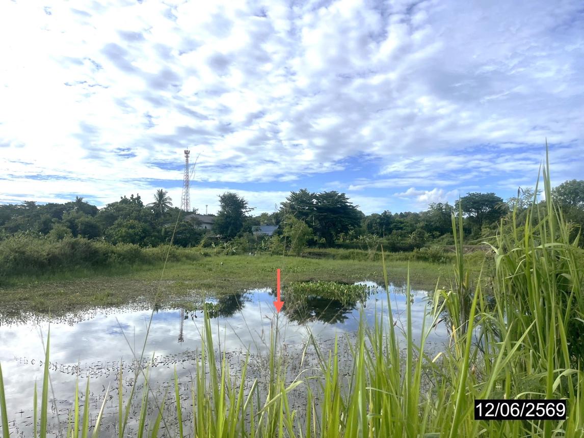 รูป ที่ดินว่างเปล่า 2480.4 ตร.วา เมืองกาฬสินธุ์ กาฬสินธุ์ 5.7M - รูปที่ 14/20