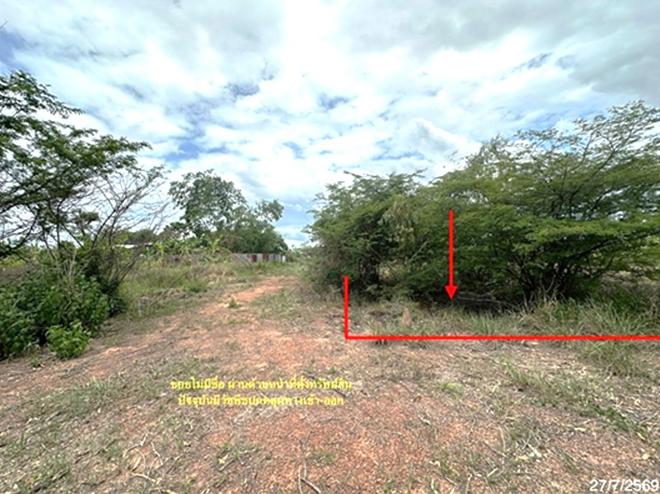 รูป ที่ดินว่างเปล่า 55.3 ตร.วา เมืองพิษณุโลก พิษณุโลก 332,000 - รูปที่ 2/12