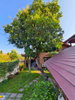 listing thumbnail image 14