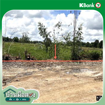 picture LAND 2738 Sq.w. Kamalasai Kalasin for 1.4M - 22/24