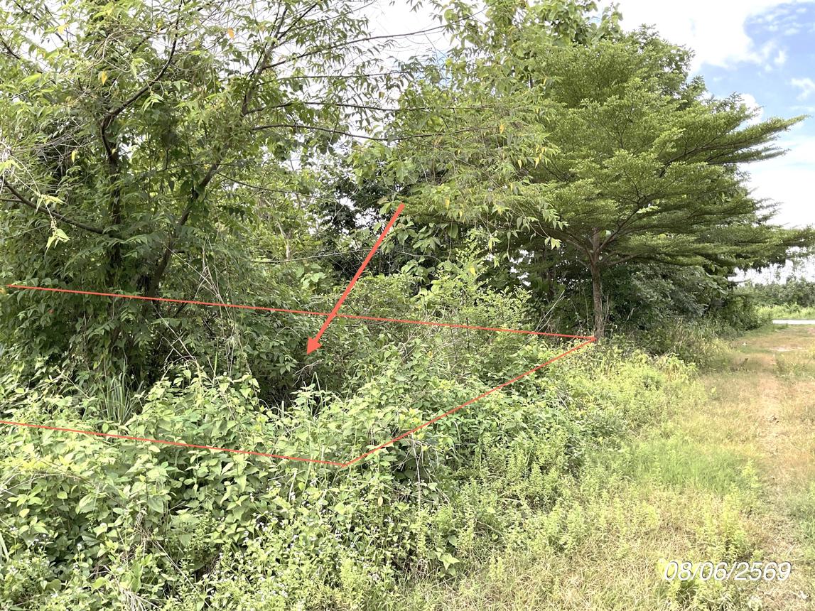 picture LAND 800 Sq.w. Sri Maha Pho Prachinburi for 1.6M - 9/20