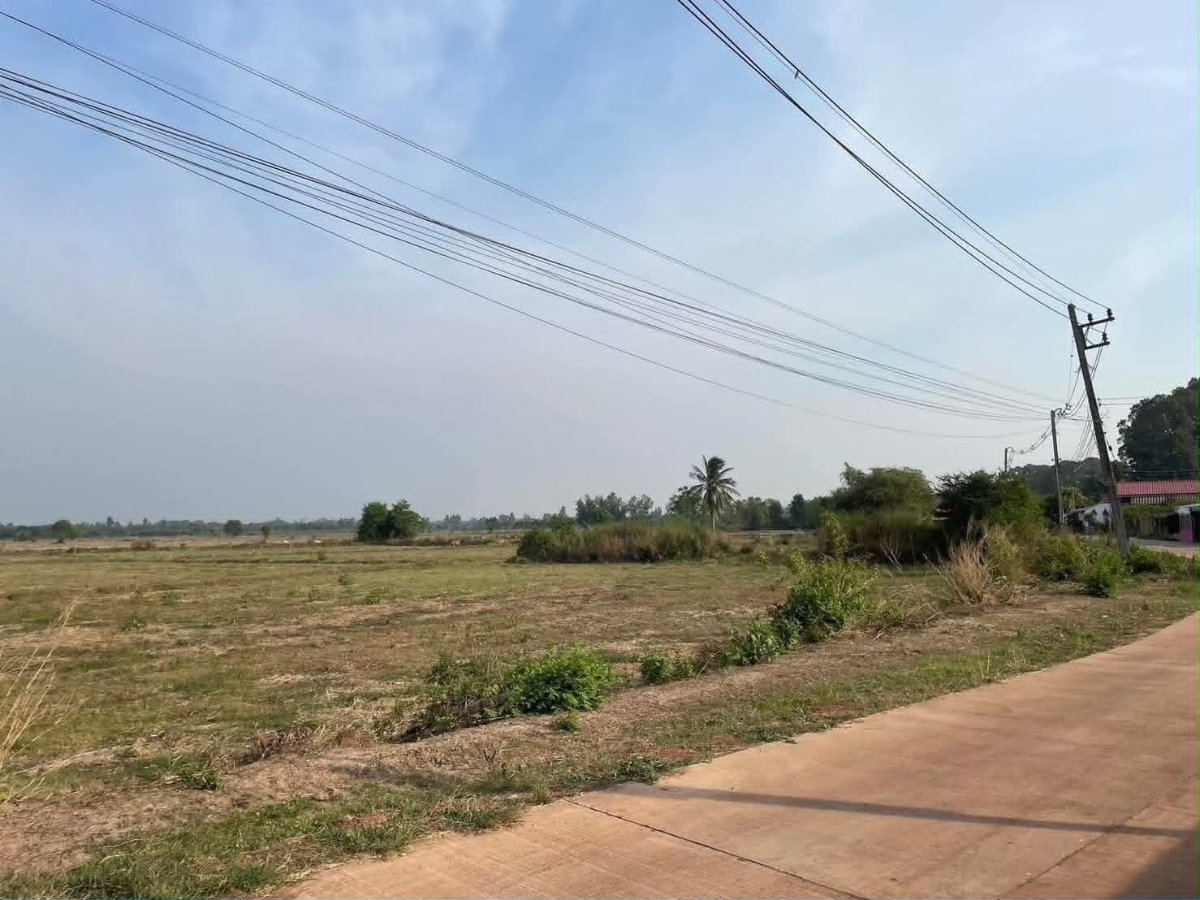 รูป ขายที่ดิน 13ไร่ 1งาน 20ตรว แถวบ้านซ่อง - รูปที่ 4/10
