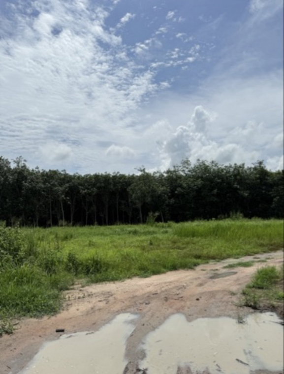 รูป ขายที่ดินแปลงใหญ่ 2 แปลงติดกัน | ต.หนองบัว อ.บ้านค่าย จ.ระยอง - รูปที่ 4/4