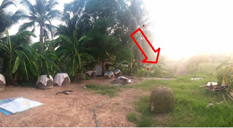 picture HOME 733 Sq.w. Kamalasai Kalasin for 3M - 1/4