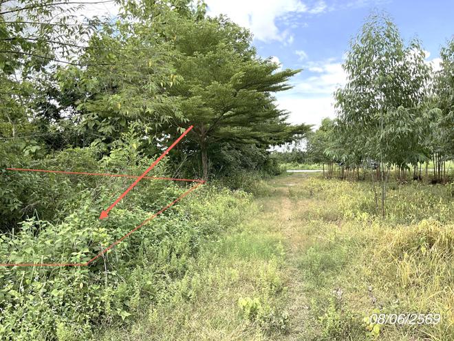 picture LAND 800 Sq.w. Sri Maha Pho Prachinburi for 1.6M - 7/20