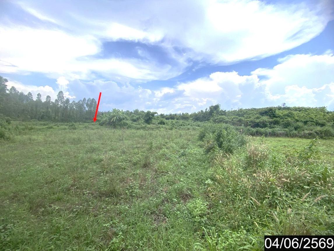 รูป ที่ดินว่างเปล่า 7071 ตร.วา ท่าลี่ เลย 2.7M - รูปที่ 14/18