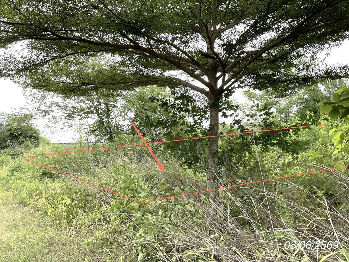picture LAND 800 Sq.w. Sri Maha Pho Prachinburi for 1.6M - 10/20