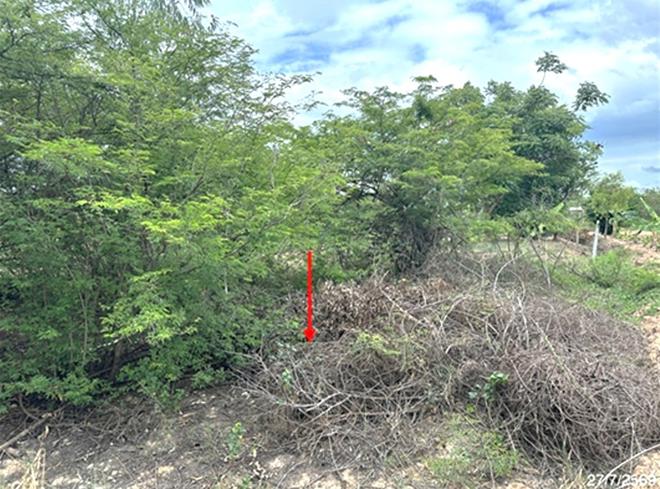 รูป ที่ดินว่างเปล่า 55.3 ตร.วา เมืองพิษณุโลก พิษณุโลก 332,000 - รูปที่ 4/12
