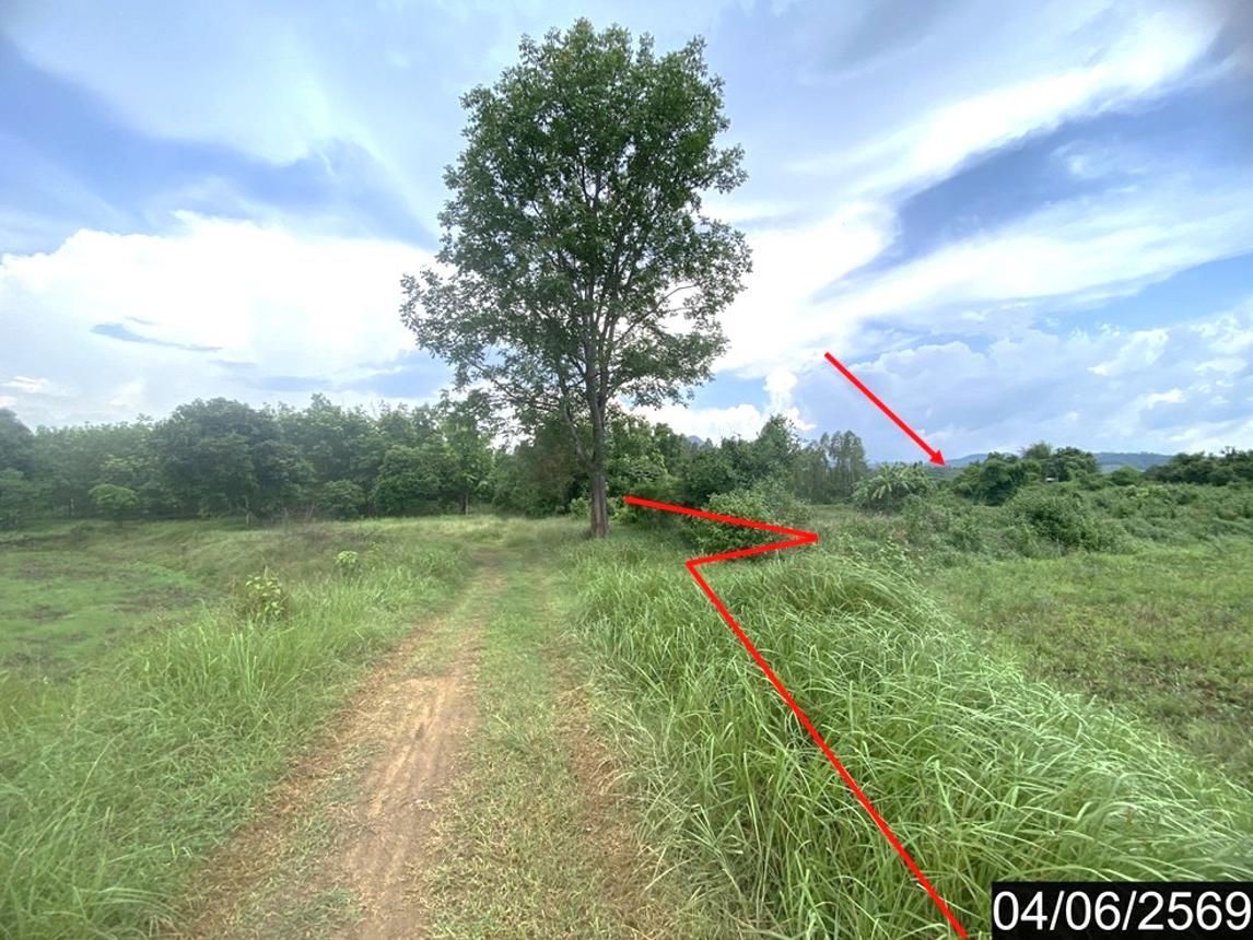 รูป ที่ดินว่างเปล่า 7071 ตร.วา ท่าลี่ เลย 2.7M - รูปที่ 11/18