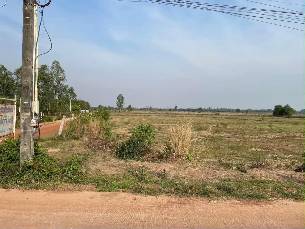 รูป ขายที่ดิน 13ไร่ 1งาน 20ตรว แถวบ้านซ่อง - รูปที่ 7/10