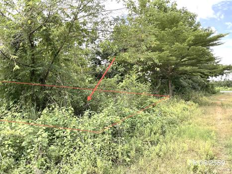 picture LAND 800 Sq.w. Sri Maha Pho Prachinburi for 1.6M - 17/20