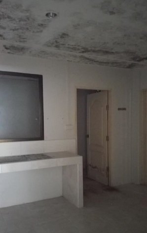 picture SHOP HOUSE 39.2 Sq.w. Muang Krabi Krabi for 6.7M - 6/12
