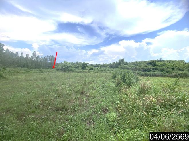 รูป ที่ดินว่างเปล่า 7071 ตร.วา ท่าลี่ เลย 2.7M - รูปที่ 7/18