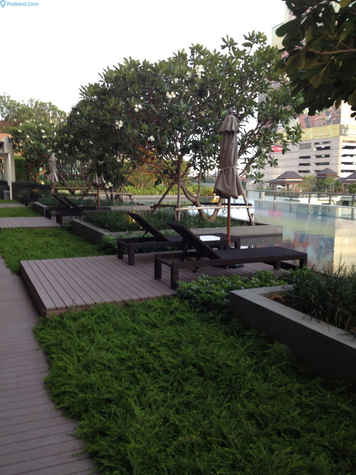 รูป 🔥 VILLA ASOKE – 2 BEDROOM – 12.9 MB (Best Value Asoke CBD) - รูปที่ 12/13