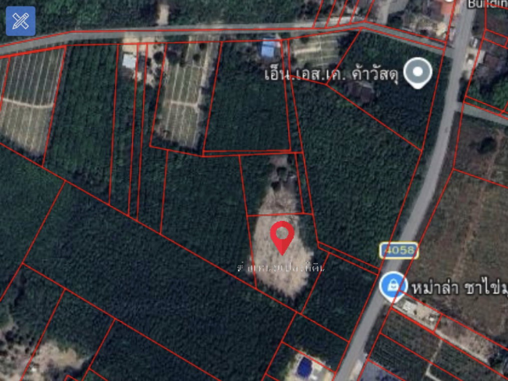 รูป ขายที่ดินแปลงใหญ่ 2 แปลงติดกัน | ต.หนองบัว อ.บ้านค่าย จ.ระยอง - รูปที่ 2/4