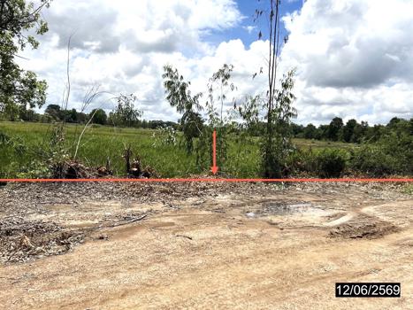 picture LAND 2738 Sq.w. Kamalasai Kalasin for 1.4M - 21/24