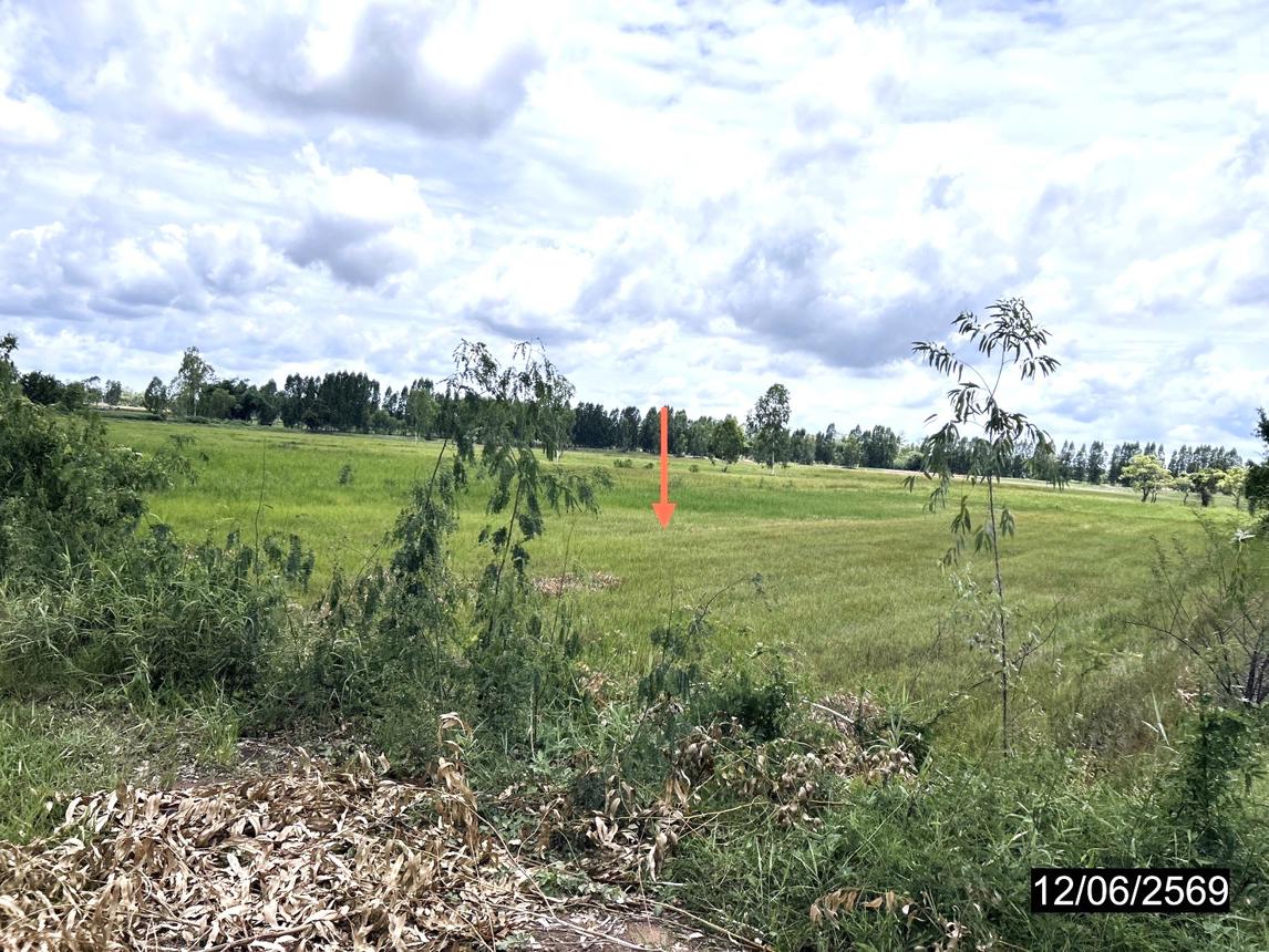picture LAND 2738 Sq.w. Kamalasai Kalasin for 1.4M - 15/24