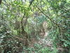 listing thumbnail image 6
