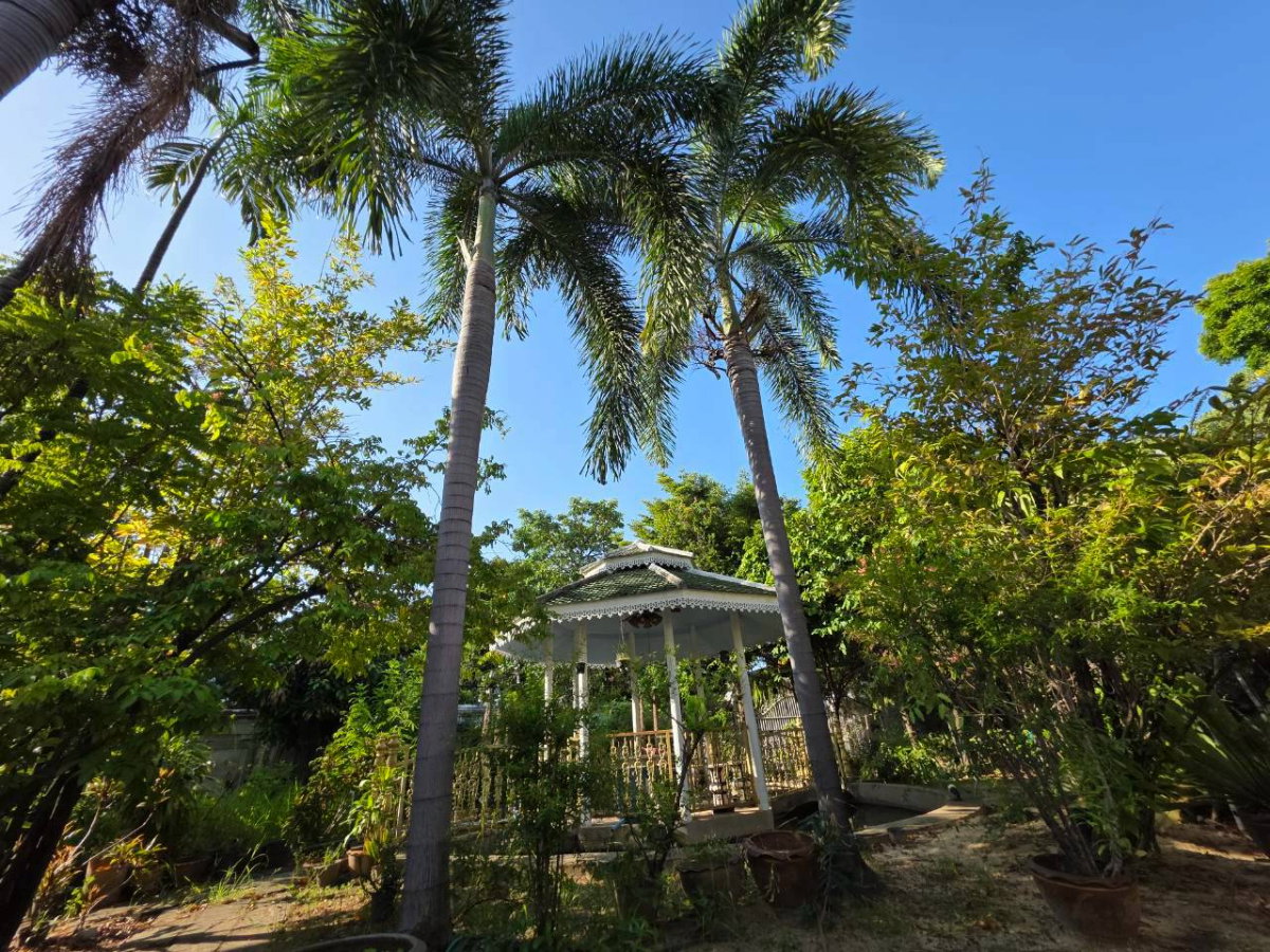 รูป ขาย บ้านพร้อมที่ดิน 191 ตร.ว แปลงใหญ่ Rare Item !! ซ.บุญศิริ ใกล้ BTS รร.นายเรือ ปากน้ำ - รูปที่ 8/21