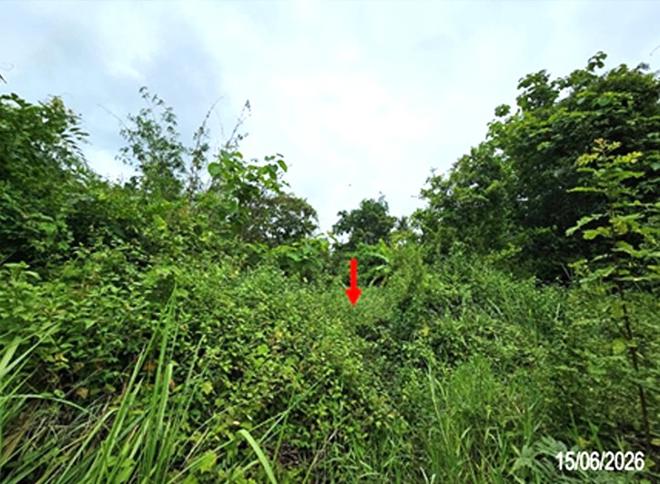 picture FACTORY 2382 Sq.w. Phichai Uttaradit for 5M - 5/18